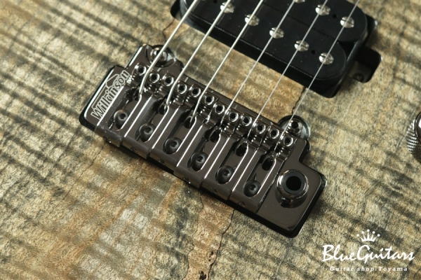 FUTURA-S HH LTD / Alder Back Spalted Maple Top Body - Transparent Black